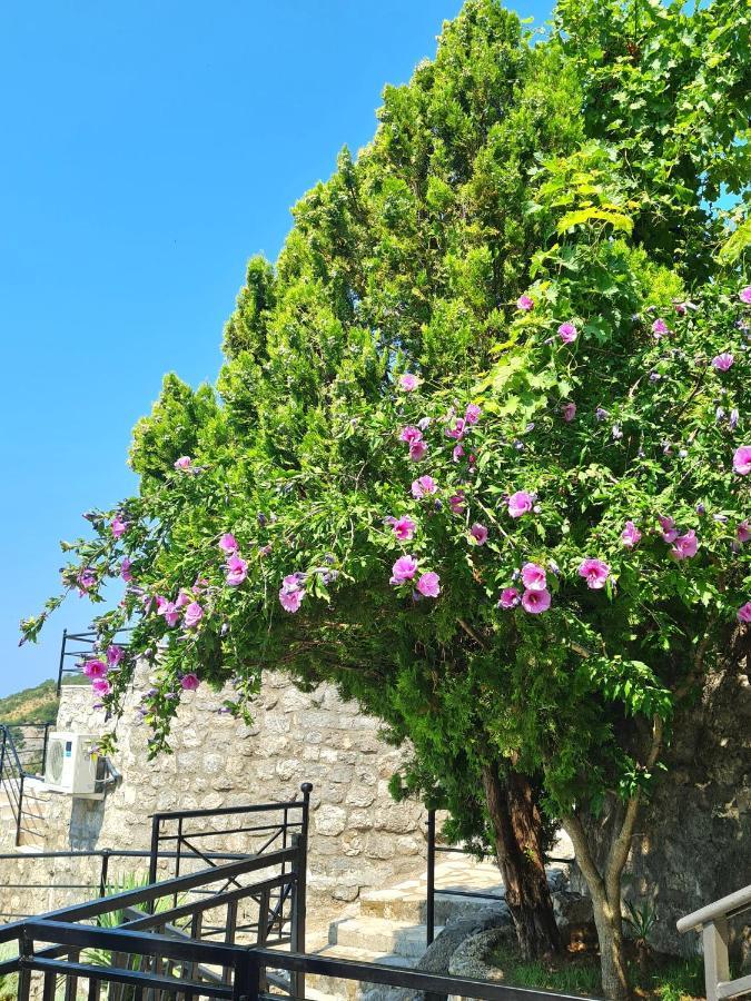 Villa Nera Будва Экстерьер фото