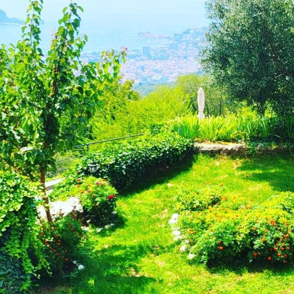 Villa Nera Будва Экстерьер фото