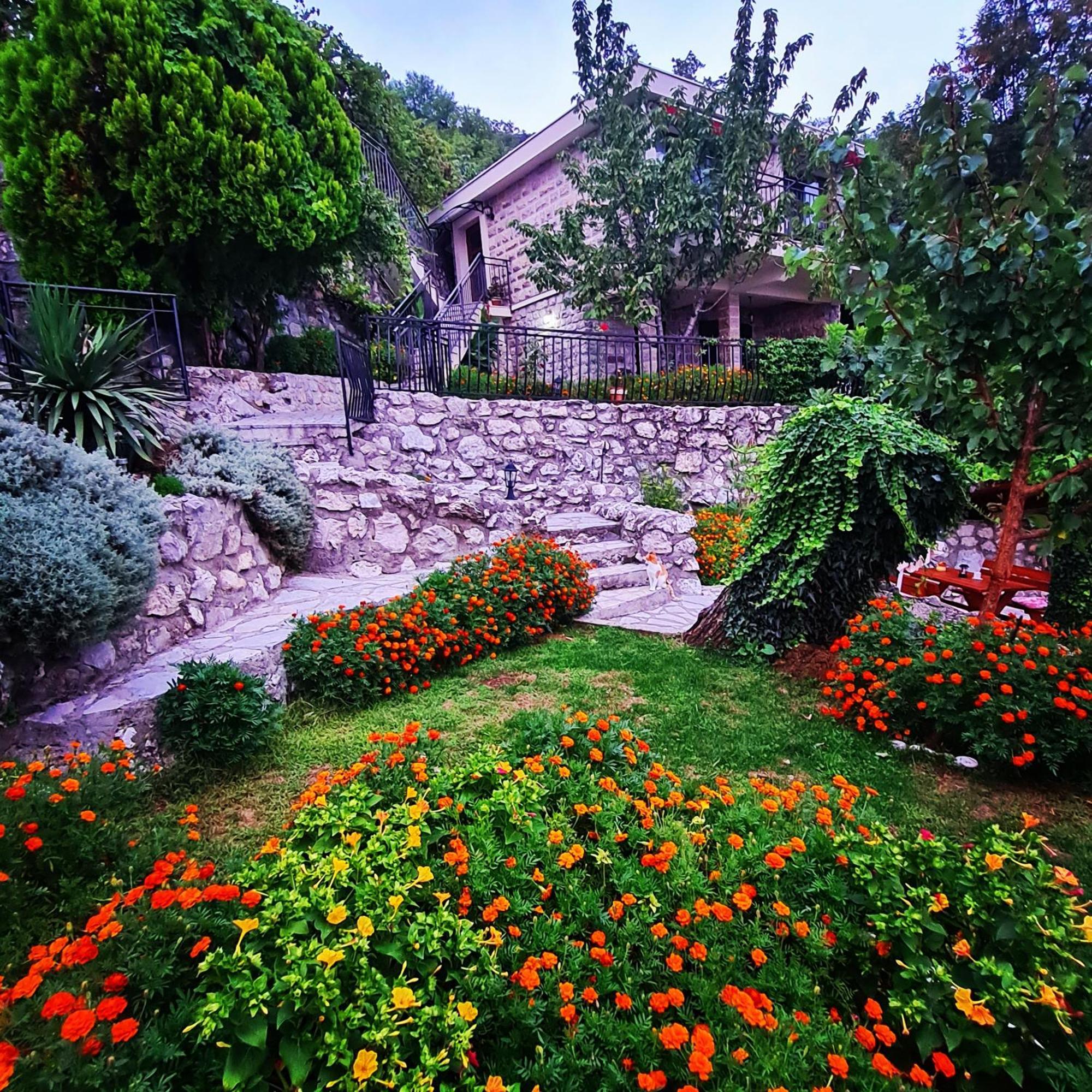 Villa Nera Будва Экстерьер фото